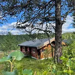 Masaplassen Friisvegen Mountain Domek letniskowy