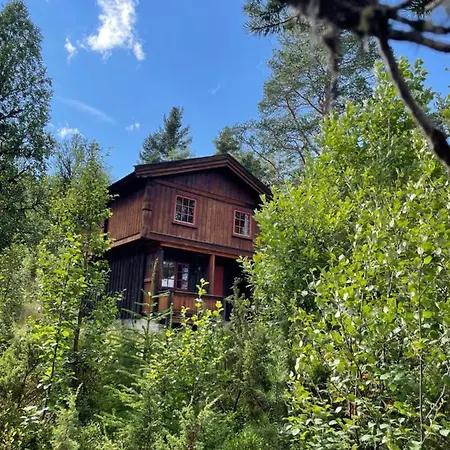 Lodge Masaplassen Friisvegen Mountain