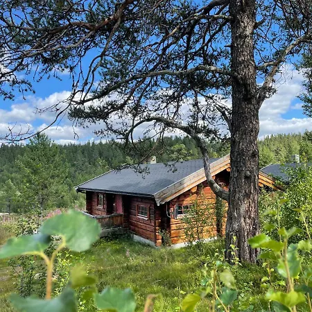 Masaplassen Friisvegen Mountain Lodge