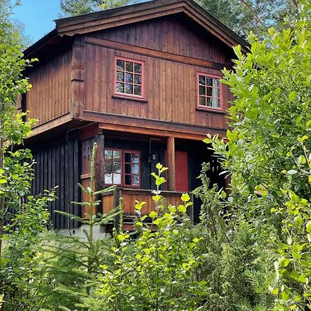 Lodge Masaplassen Friisvegen Mountain *