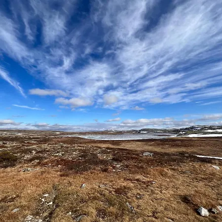 Masaplassen Friisvegen Mountain بيت خشبي *