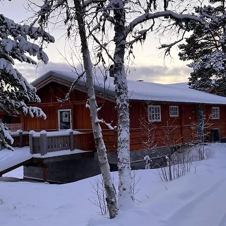 Masaplassen Friisvegen Mountain *