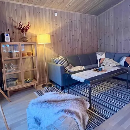 Lodge Masaplassen Friisvegen Mountain *