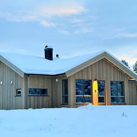 Måsåplassen Friisvegen Mountain *