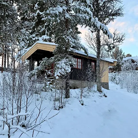 Masaplassen Friisvegen Mountain * Ringebu