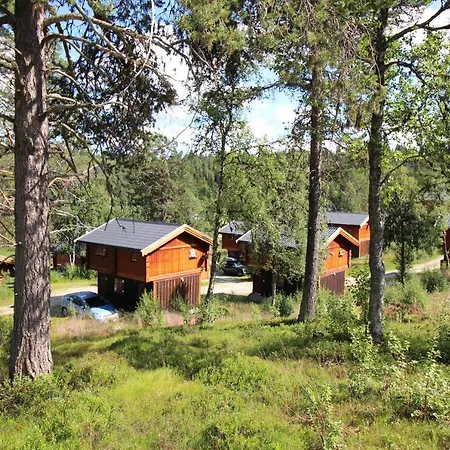 Måsåplassen Friisvegen Mountain *