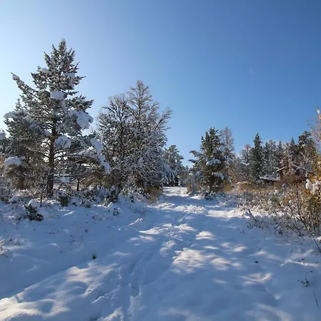 Måsåplassen Friisvegen Mountain