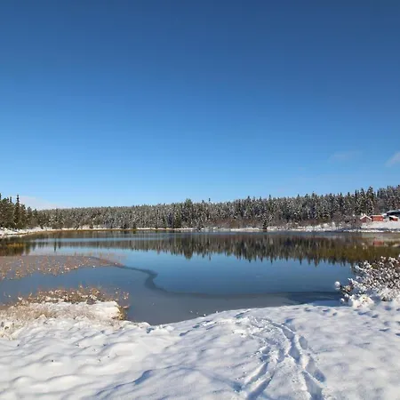 Lodge Måsåplassen Friisvegen Mountain
