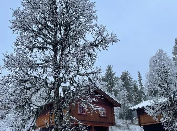 Masaplassen Friisvegen Mountain