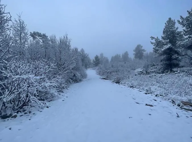 Masaplassen Friisvegen Mountain ロッジ *