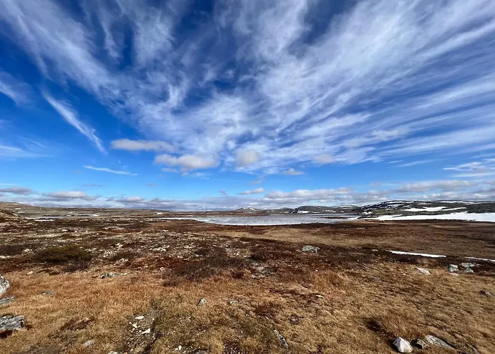 Masaplassen Friisvegen Mountain אכסניה *