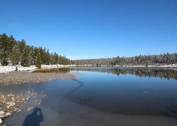 Masaplassen Friisvegen Mountain אכסניה
