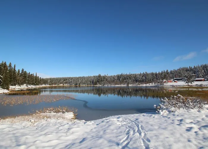 אכסניה Masaplassen Friisvegen Mountain