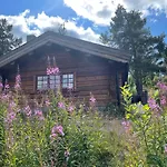 Jaktstuga Masaplassen Friisvegen Mountain