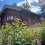 Masaplassen Friisvegen Mountain Jaktstuga *