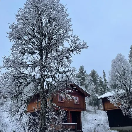 Masaplassen Friisvegen Mountain