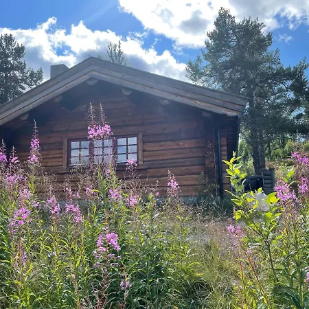 Lodge Masaplassen Friisvegen Mountain