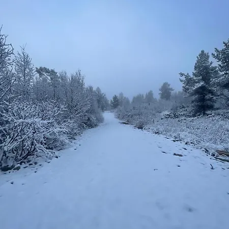 Masaplassen Friisvegen Mountain Lodge *