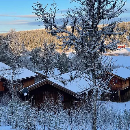 Masaplassen Friisvegen Mountain * Ringebu