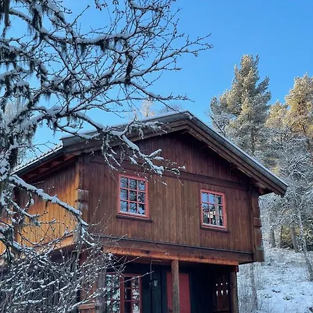 Masaplassen Friisvegen Mountain Lodge Ringebu