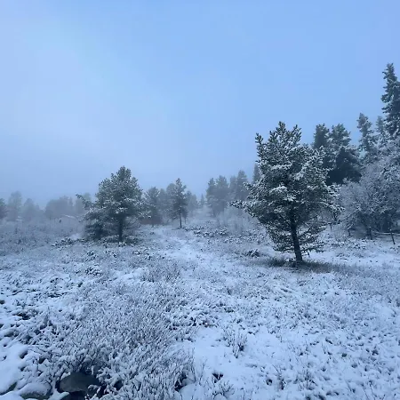 Masaplassen Friisvegen Mountain Gerendaház