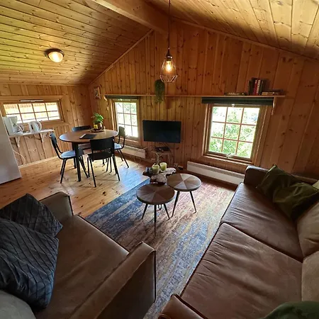 Masaplassen Friisvegen Mountain *